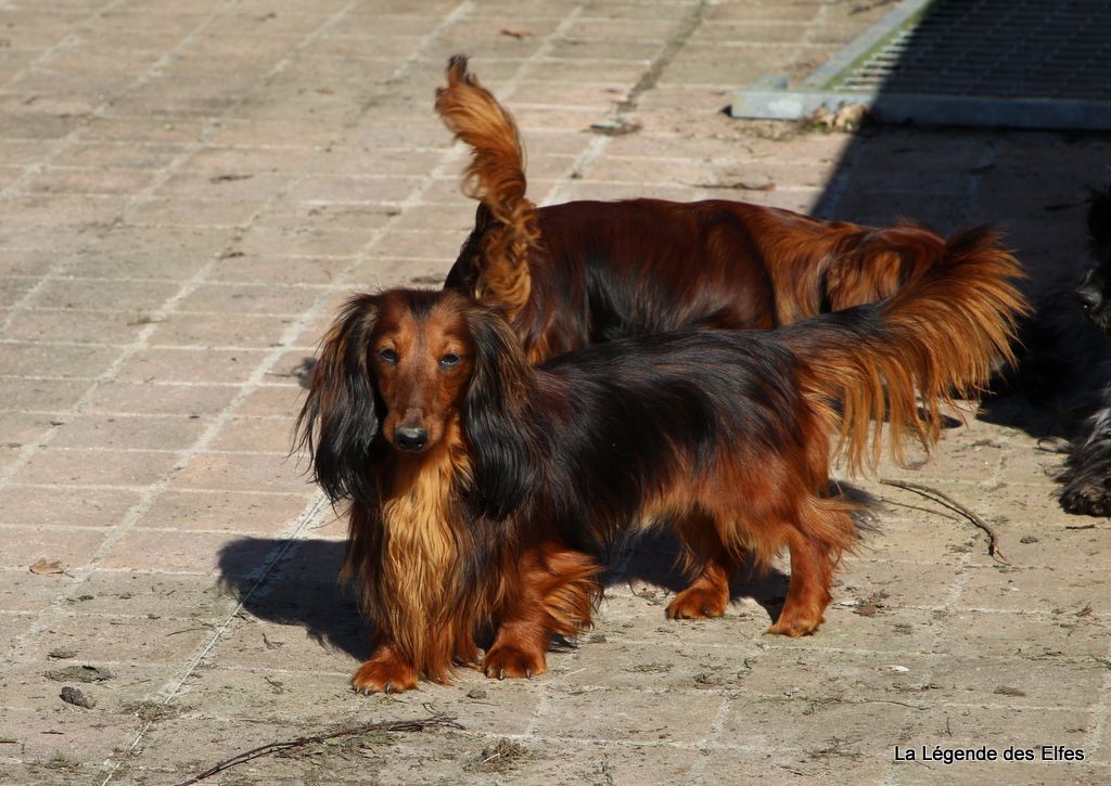 katerinapark Jacques frantz