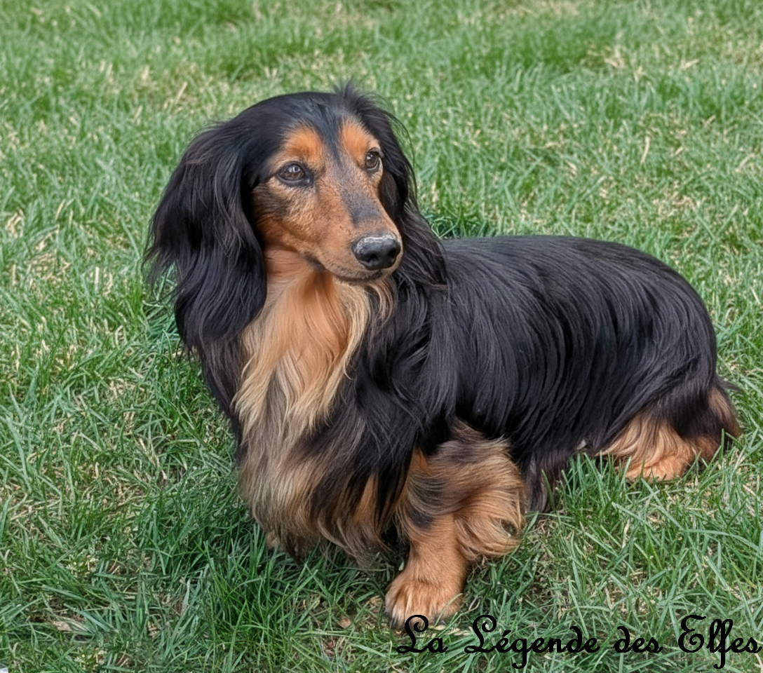 Toulouse lautrec Du Clos Des Bords De Mer
